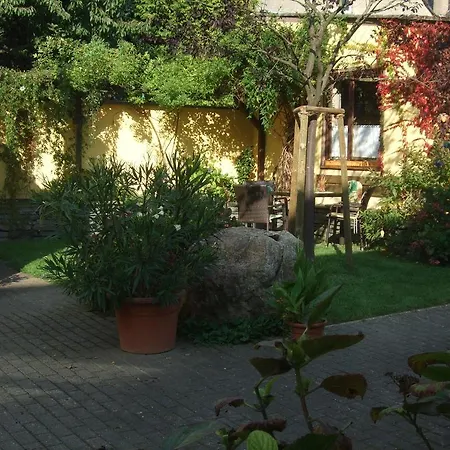 Weingut Gorges-Reinhard Apartment Wintrich Room photo