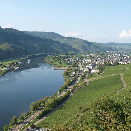 Weingut Gorges-Reinhard Apartment Wintrich Room photo