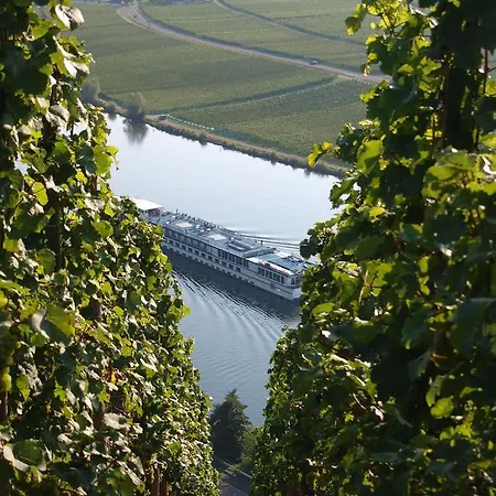 Weingut Gorges-Reinhard Apartment Wintrich Exterior photo