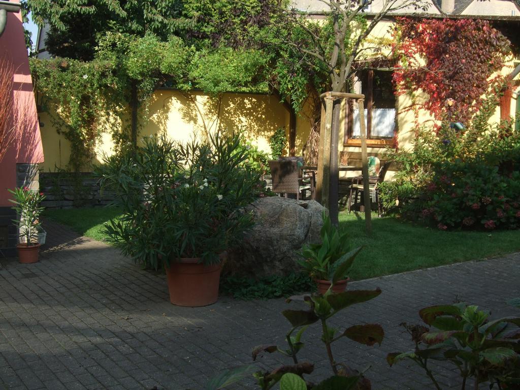 Weingut Gorges-reinhard Apartment *