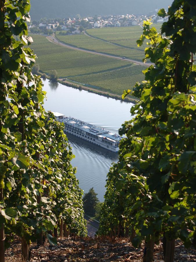 Apartment Weingut Gorges-reinhard